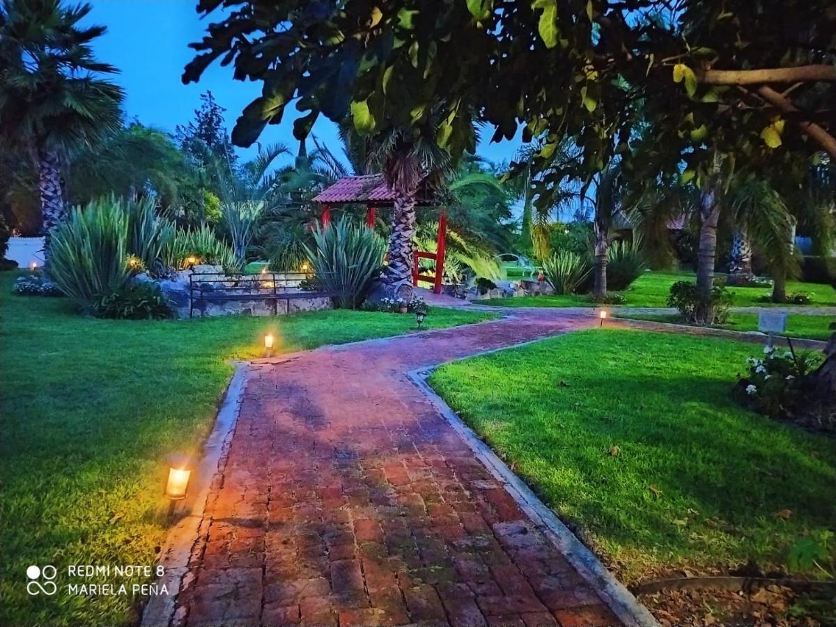 Hotel Palmas Teotihuacan San Juan Teotihuacán Exteriér fotografie