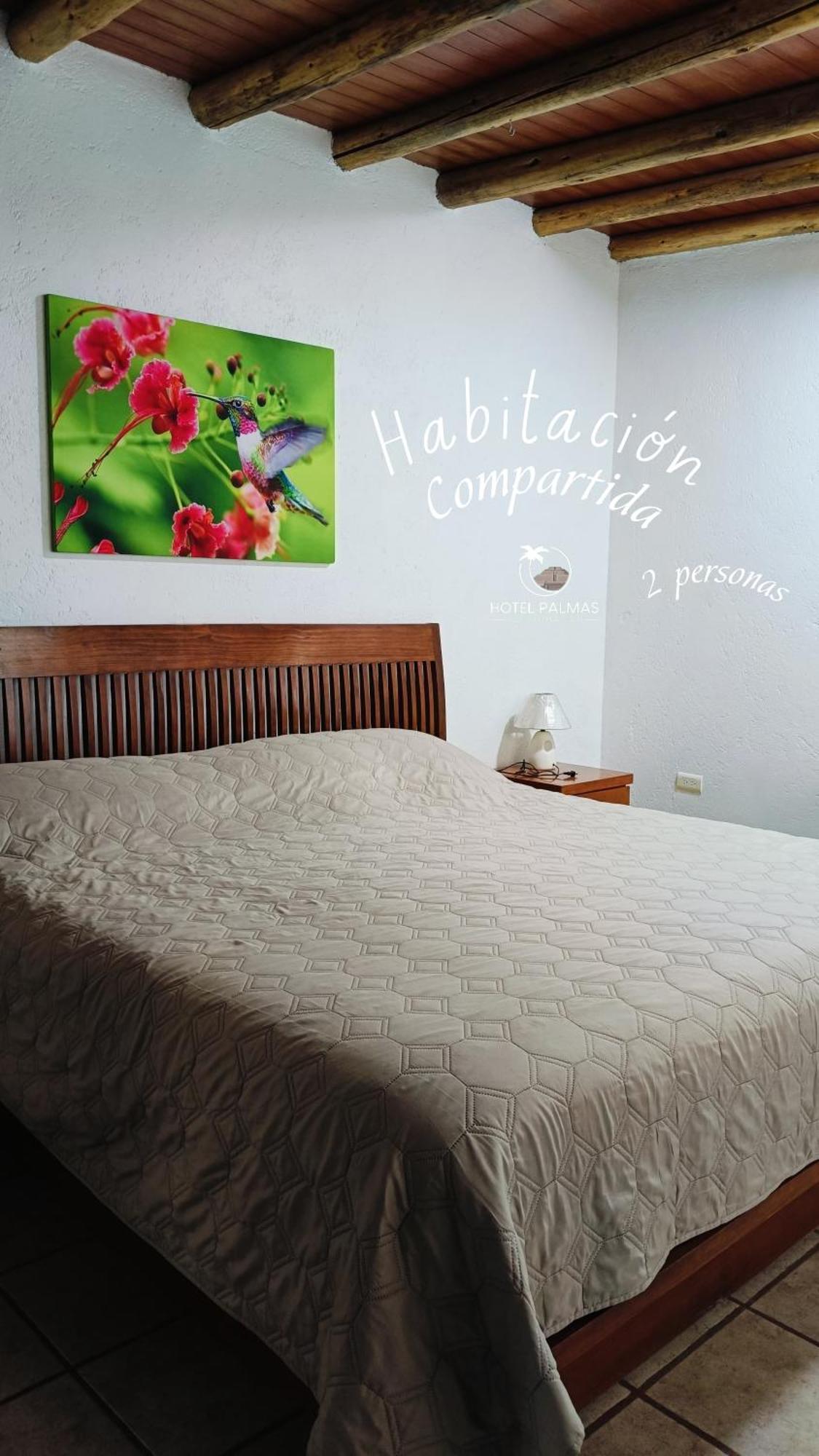 Hotel Palmas Teotihuacan San Juan Teotihuacán Exteriér fotografie